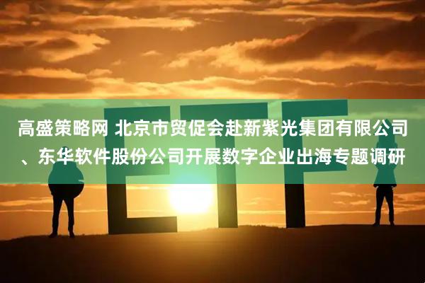 高盛策略网 北京市贸促会赴新紫光集团有限公司、东华软件股份公司开展数字企业出海专题调研