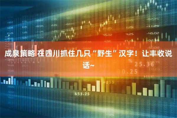 成泉策略 在四川抓住几只“野生”汉字！让丰收说话~